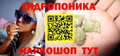 ECSTASY Кунгур