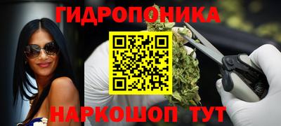 крисы Краснознаменск