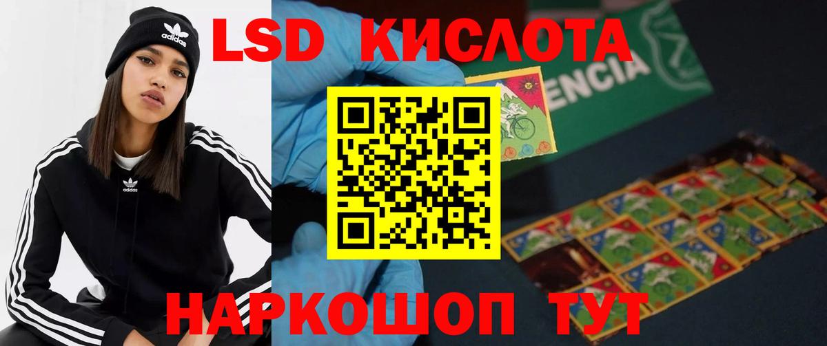 Псилоцибиновые грибы Ессентуки
