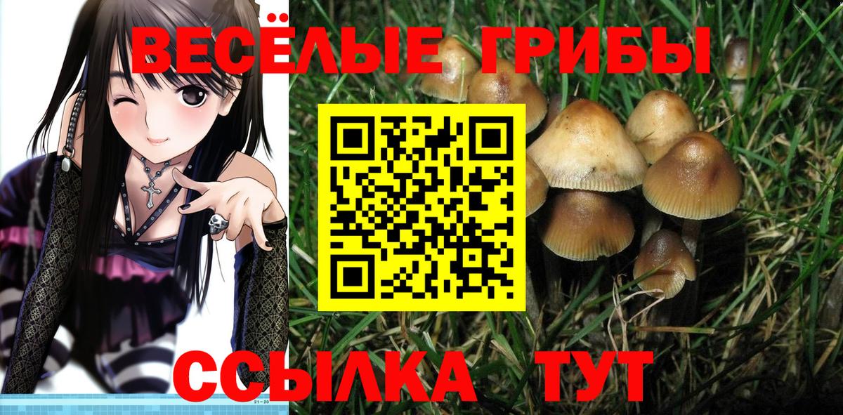 Ессентуки  Псилоцибиновые грибы GOLDEN TEACHER  закладки  Вход с VPN 